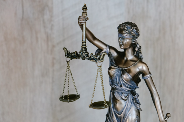 expert witness lady